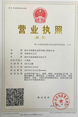 国产AV熟女一区二区三区